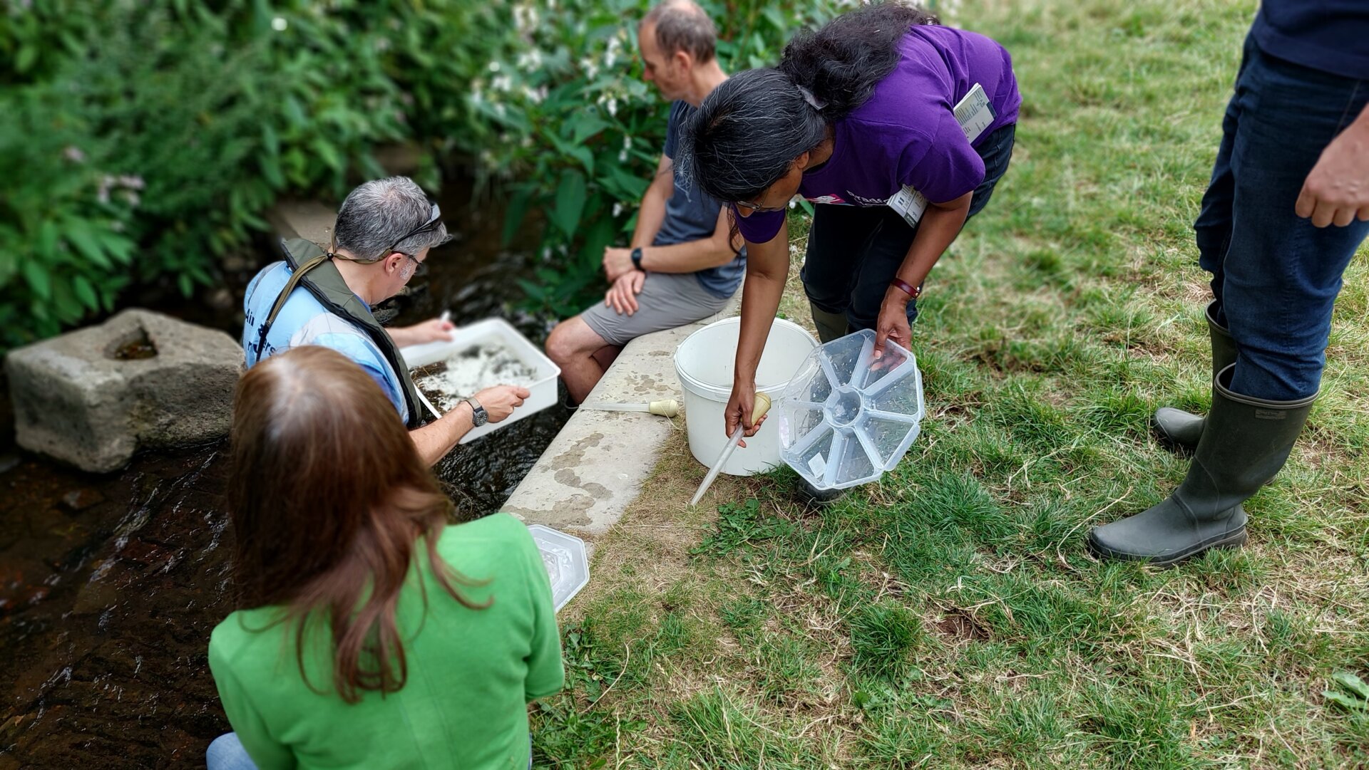 Kicki Sampling Sheffield's rivers saw a massive increase in sewage dumping by private ...