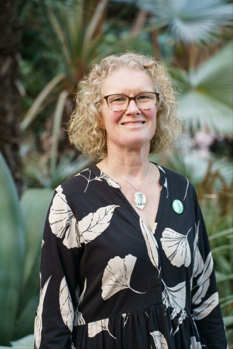 Judith Rutnam Labour decimated in Sheffield's local elections, with Greens and Reform ...